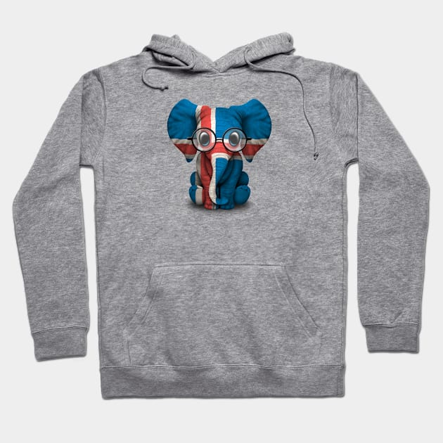 Baby Elephant with Glasses and Icelandic Flag Hoodie by jeffbartels